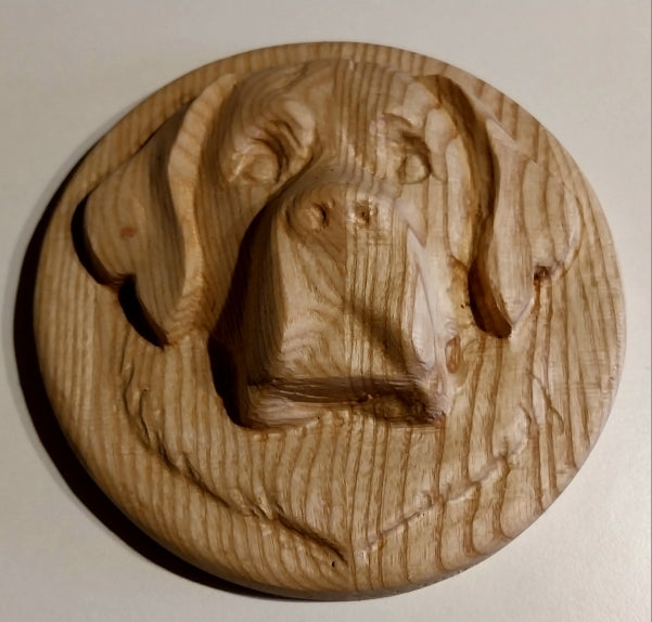 animaux